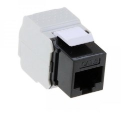 Moduł keystone C6 utp toolless