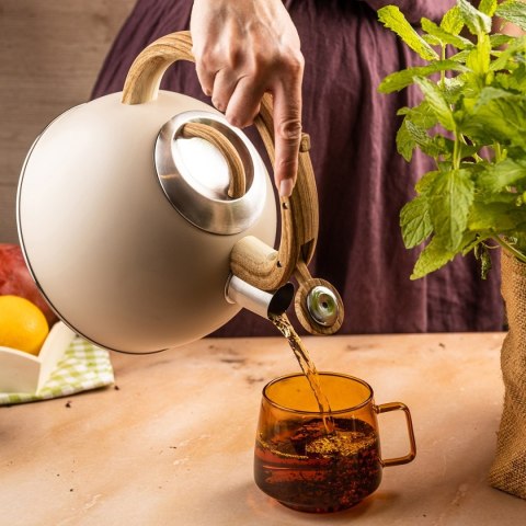 CZAJNIK STALOWY Z GWIZDKIEM 2,5L KLAUSBERG KB-7913