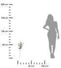 Sztuczny eukaliptus 65 cm Realistycznie wyglądające pędy eukaliptusa o długości 65 cm, wykonane z wysokiej jakości tworzywa