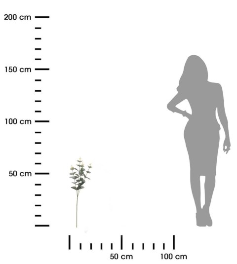 Sztuczny eukaliptus 65 cm Realistycznie wyglądające pędy eukaliptusa o długości 65 cm, wykonane z wysokiej jakości tworzywa