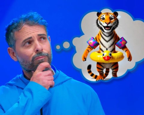 Gra Czy to fałsz czy to prawda?