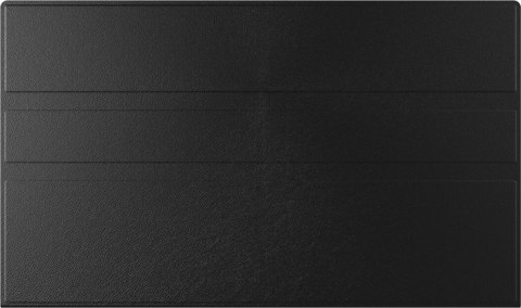 Monitor 15.6 cala P1671HSC-B1 IPS,FHD,miniHDMI,2xUSBC,250cd,8ms,2x1W, 0,7kg