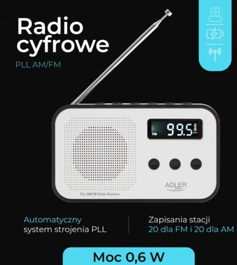 Radio cyfrowe PLL AD1907