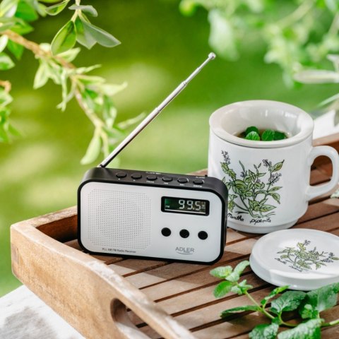 Radio cyfrowe PLL AD1907