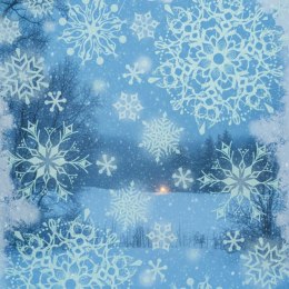 NAKLEJKA NA OKNO 30x42 CM