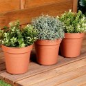Doniczka ogrodowa plastikowa okrągła średnia 15 cm 3 szt. PROGARDEN 339519