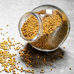 Pojemnik na żywność jedzenie słoik szklany duży 3L ORION 127546