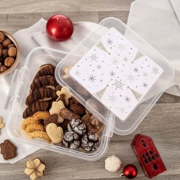 Pojemnik plastikowy na żywność jedzenie z pokrywką PŁATEK 4.5L ORION 127198