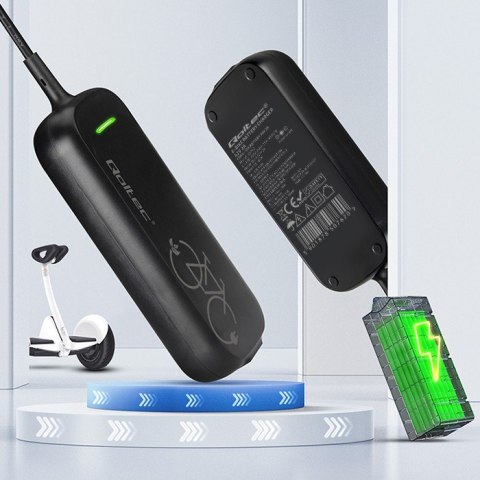 Ładowarka Pro do roweru Bosch 36V | 42V | 2A | Bosch plug | wodoodporna + kabel zasilający