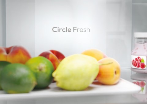 Chłodziarko-zamrażarka ECN2CQTEX186