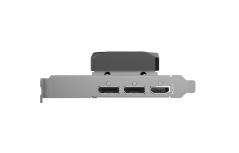 Karta graficzna GeForce RTX 5050 LP 8GB GDDR6 128bit 2DP/HDMI