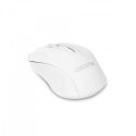 Mysz Wireless Mouse Comfort Biała
