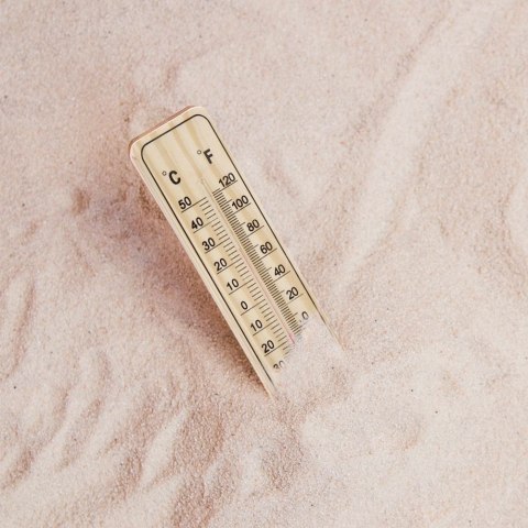 Termometr zewnętrzny i wewnętrzny analogowy wieszany MDF 22cm PROGARDEN 569289