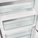 Chłodziarko-zamrażarka NRB620E61X4WFE