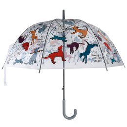 Parasolka transparentna „It's raining cats and dogs