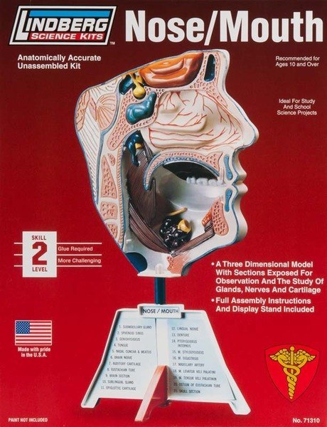 Model plastikowy Lindberg - Nos / usta