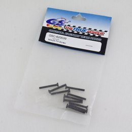 GSC-620039 M3x25 FH Screw