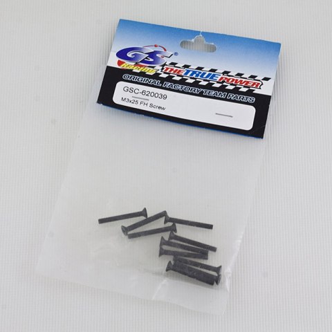 GSC-620039 M3x25 FH Screw