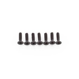 SST 09143 Cap head screw 2,5*10 12P