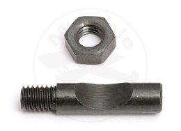 #29013 - Team Associated