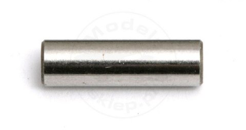 #29084 - Team Associated