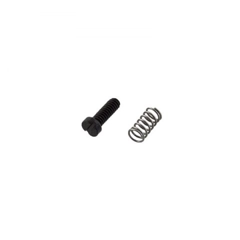 ASP 06832 rotor guide screw and spring