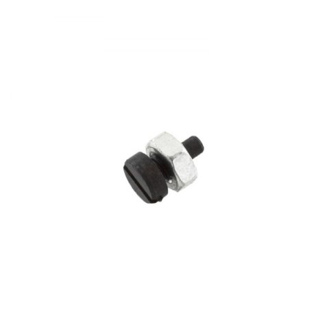 ASP 12837G ROTOR GUIDE SCREW AND NUT
