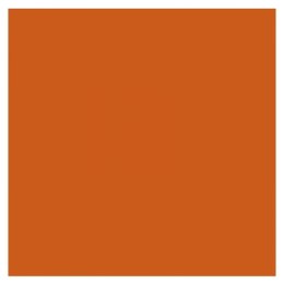 Farba w spray'u R/C Spray Paint 85 g - Metallic Fiery Orange (M) (pomarańczowa) - PACTRA