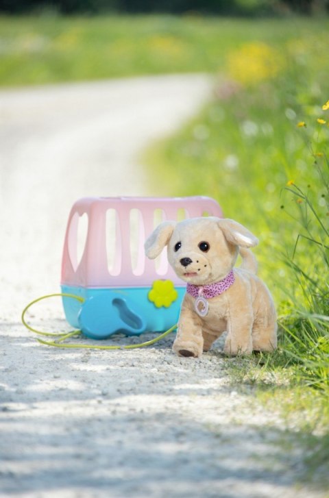 Interaktywny piesek Labrador Lucky na smyczy Baby Born