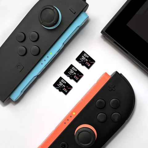 Karta pamięci microSDXC 1TB Express 7.1, PCIe Gen 3x1, NVMe, 880MB/s