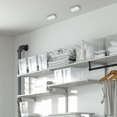 Oprawa sufitowa DAVO Owalna Biała 8W LED 4000K IP64