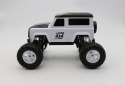 Monster Truck RC - Zdalnie Sterowany samochód Big Foot 2.4 GHz