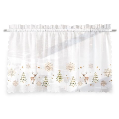 Zazdrostka woalowa CHOINKI ZIMOWA OPOWIE