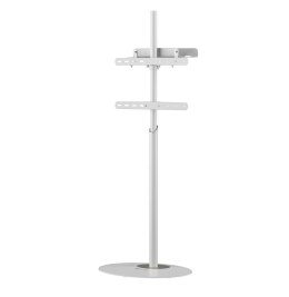 Uchwyt do TV TECHLY ICA-TR544 (nośność 35kg /32 - 65 cali)