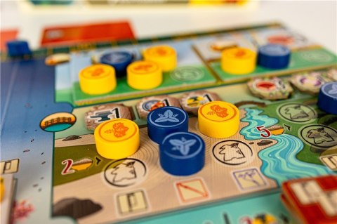 Gra Biały Zamek: Duel