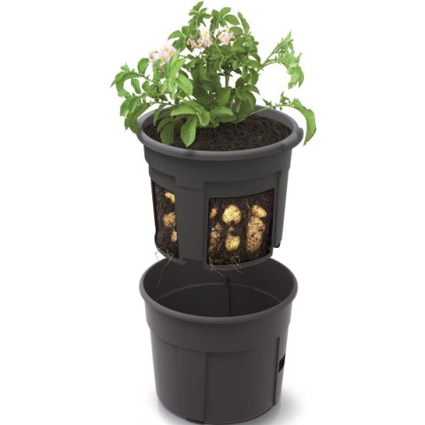 DONICZKA DO SADZENIA ZIEMNIAKÓW 29,5CM