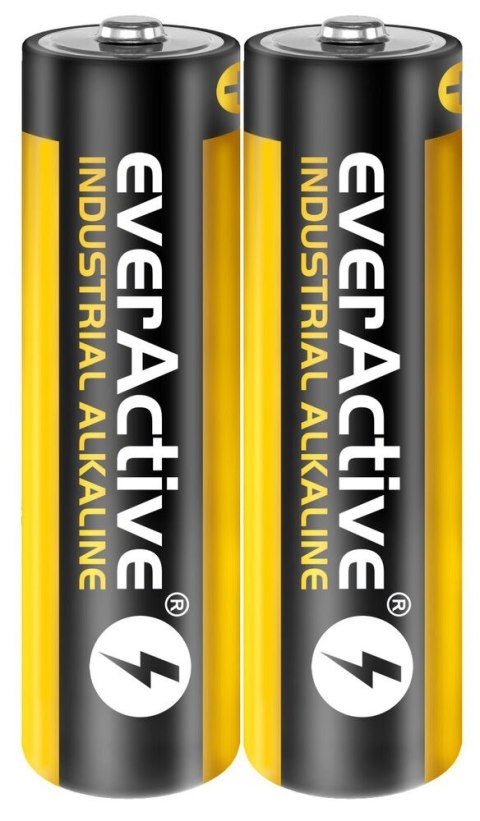 Baterie EVERACTIVE Alkaliczna AA 2700mAh 40 szt. EVLR6S2IK