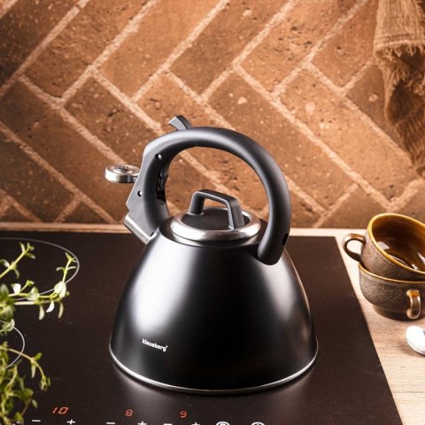 CZAJNIK STALOWY Z GWIZDKIEM 2,5L KLAUSBERG KB-7952