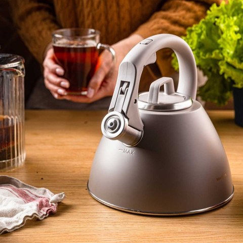 CZAJNIK STALOWY Z GWIZDKIEM 2,5L KLAUSBERG KB-7953