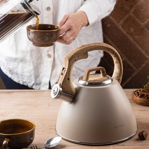 CZAJNIK STALOWY Z GWIZDKIEM 2,5L KLAUSBERG KB-7954