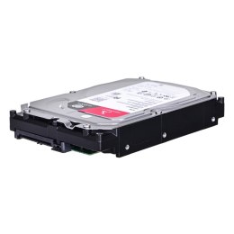 Dysk serwerowy HDD SEAGATE IronWolf ST6000VN006 (6 TB /3.5