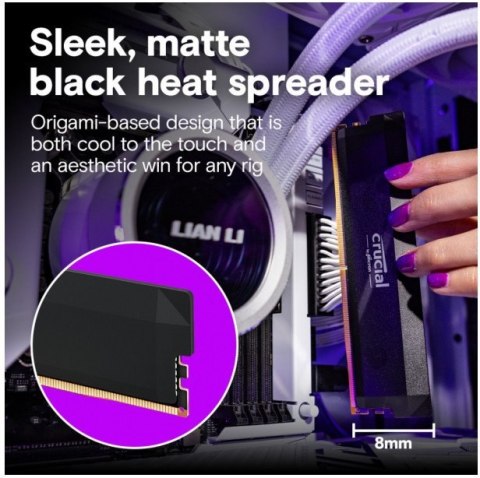 Pamięć CRUCIAL (DIMM/DDR5/32 GB/6400MHz/40 CLCL/SINGLE)