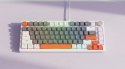 Klawiatura magnetyczna ASTRAL White OUTEMU White jade RGB 3 kolory keycapów