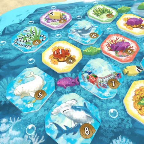 GRA SHALLOW SEA: WIELKA RAFA KORALOWA - podstawa - OGRY GAMES