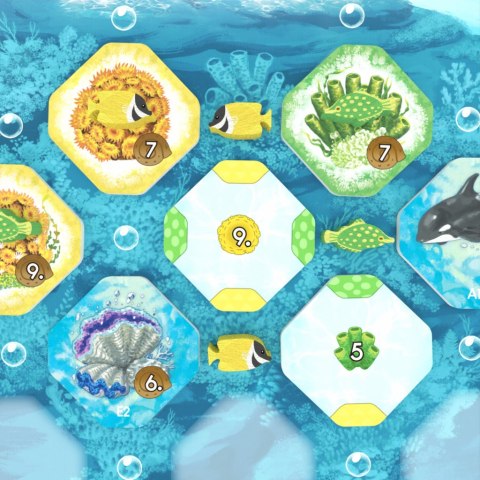 GRA SHALLOW SEA: WIELKA RAFA KORALOWA - podstawa - OGRY GAMES