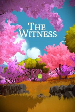 MS ESD C2C X360 The Witness