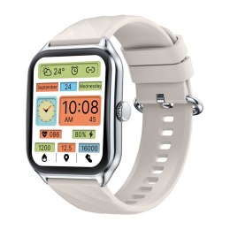 Smartwatch ZEBLAZE GTS 4 (srebrny)