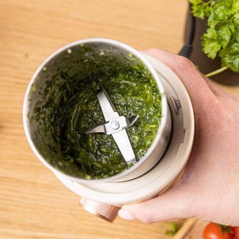 ELEKTRYCZNY MŁYNEK DO KAWY PRZYPRAW OWOCÓW KLAUSBERG KB-7993