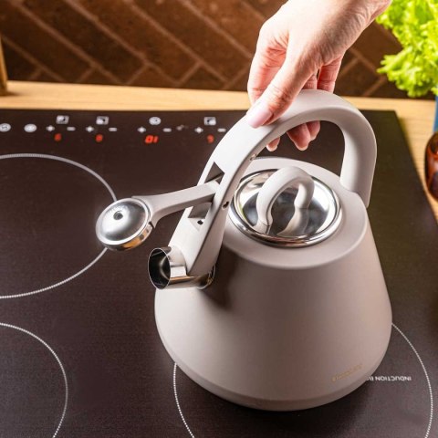 CZAJNIK STALOWY Z GWIZDKIEM 2,5L KLAUSBERG KB-7949 SZARY