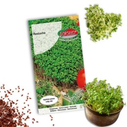 Rzeżucha ogrodowa 10g